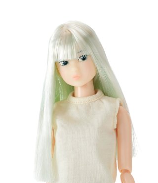 PetWORKs Store Global. 1/6 fashion dolls.