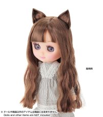 Photo1: 7-8 inch Doll Wig, Cat Ears Wavy Long, Champagne-Brown / ねこみみ横分けウエーブロングウィッグ シャンパンブラウン (1)