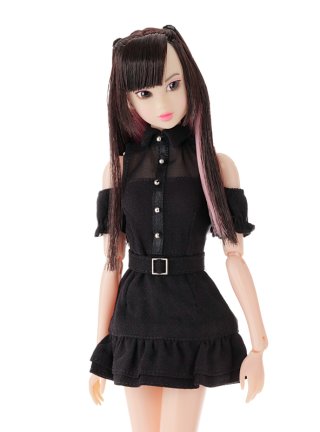 PetWORKs Store Global. 1/6 fashion dolls.